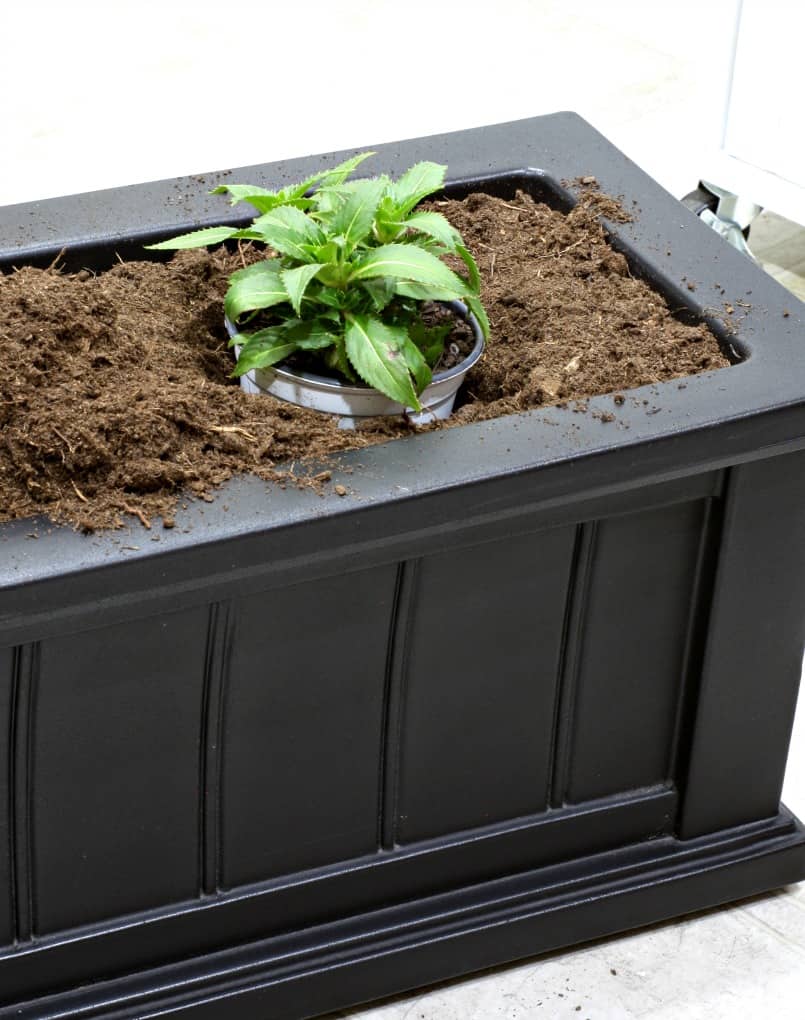 black window box with dirt inside and plant in white pot sitting in dirt