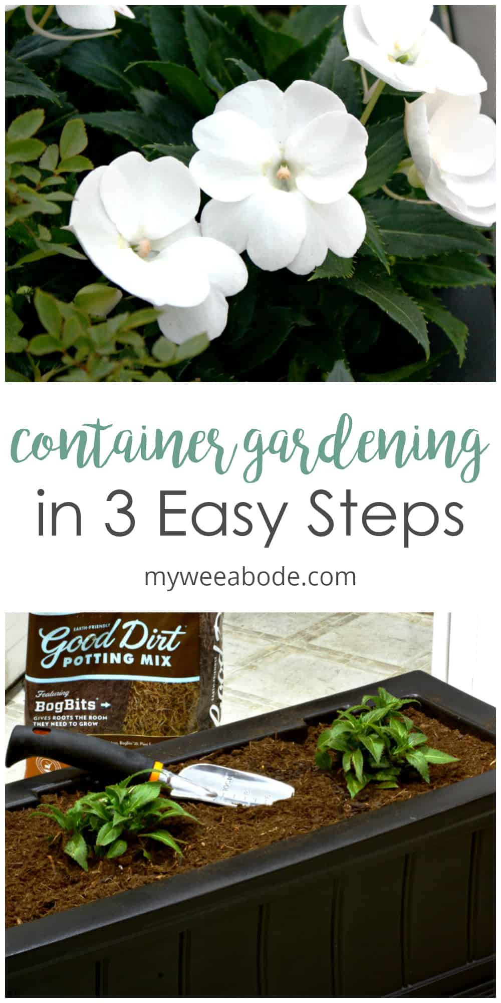 Container gardening: steps and ideas for making a container garden