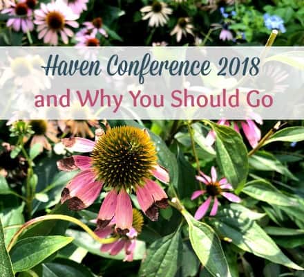 Haven Conference 2018 and Why You Should Go