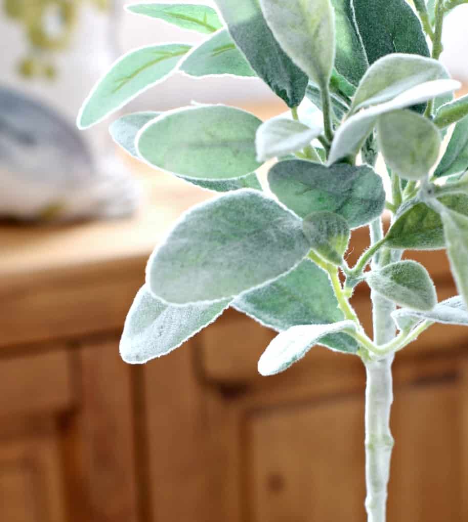 How to Make a Topiary Tree with Lamb’s Ear