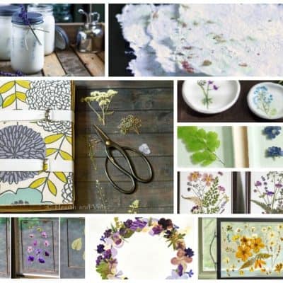 various photos with dried flower projects and scissors in the middle