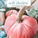 diy velvet pumpkins just like the pros velvet pumpkins in coral aqua and natural in a tobacco basket with leaves flowers and natural elements on top of a white surface with a white window pane in the background
