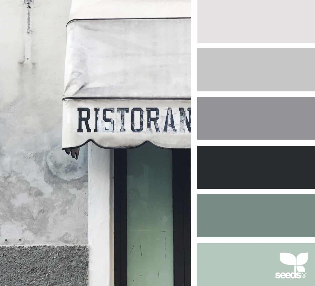 french restaurant in grays and greens with color palette
