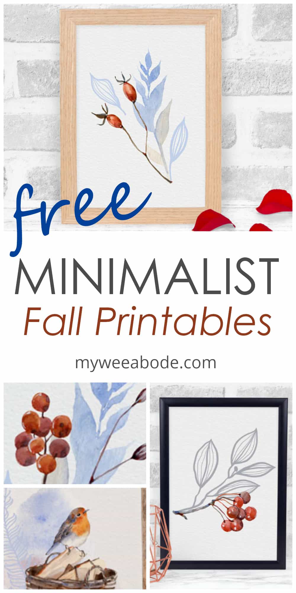 minimalist fall watercolor printables with red pods and leaves in frame and rose petals on white surface