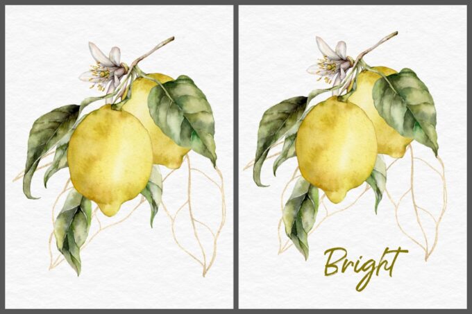 lemon branch with blossoms collage