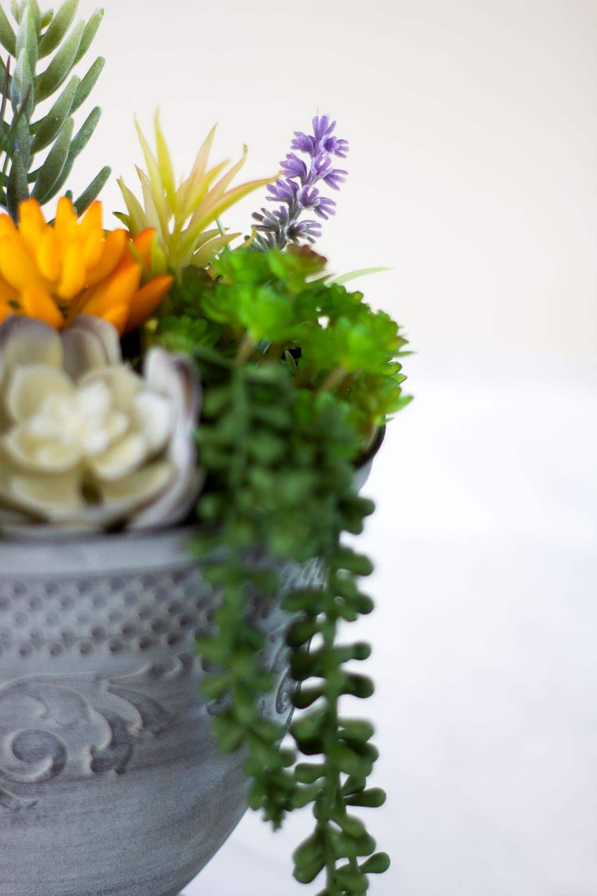 diy faux mini succulent arrangement