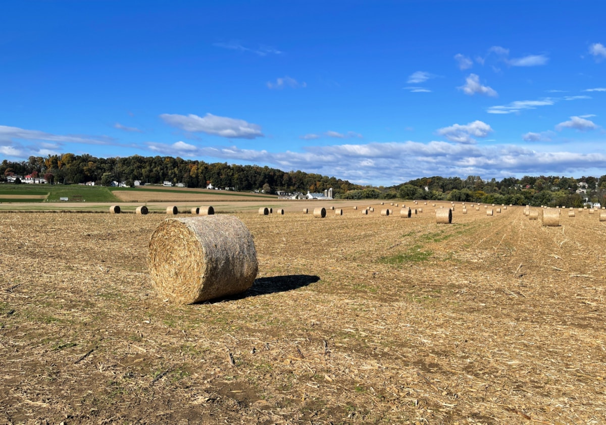 visiting lancaster county in the fall farmland landscape photo
