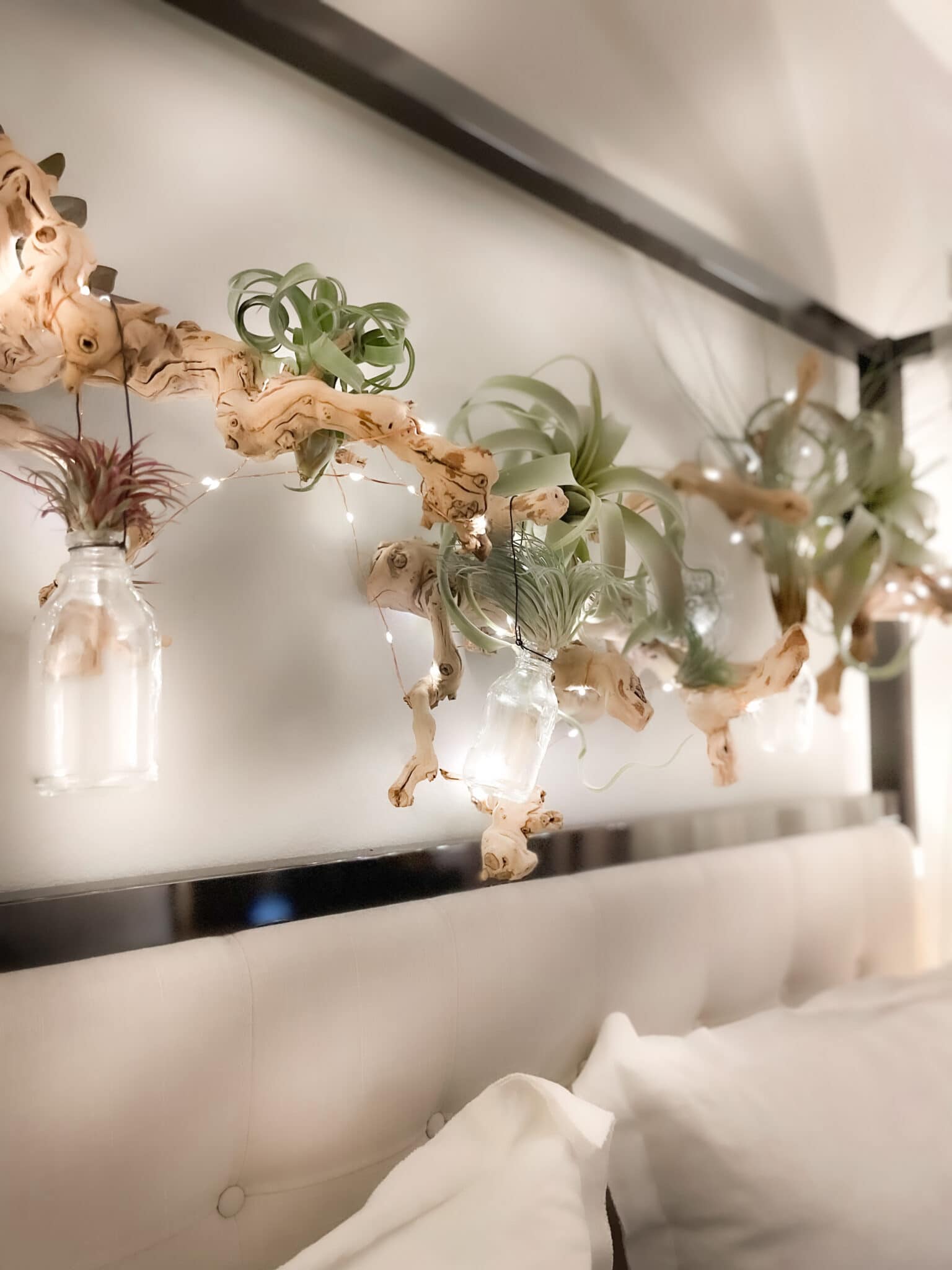 tuesday turn about 137 february finds air plant wall decor with fairy lights