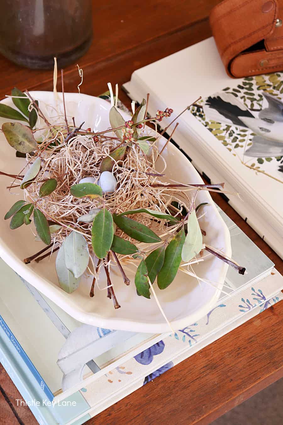 natural spring bird nest centerpiece on coffee table