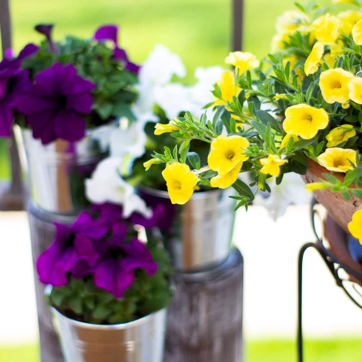 How to Refresh Your Apartment Patio for Spring
