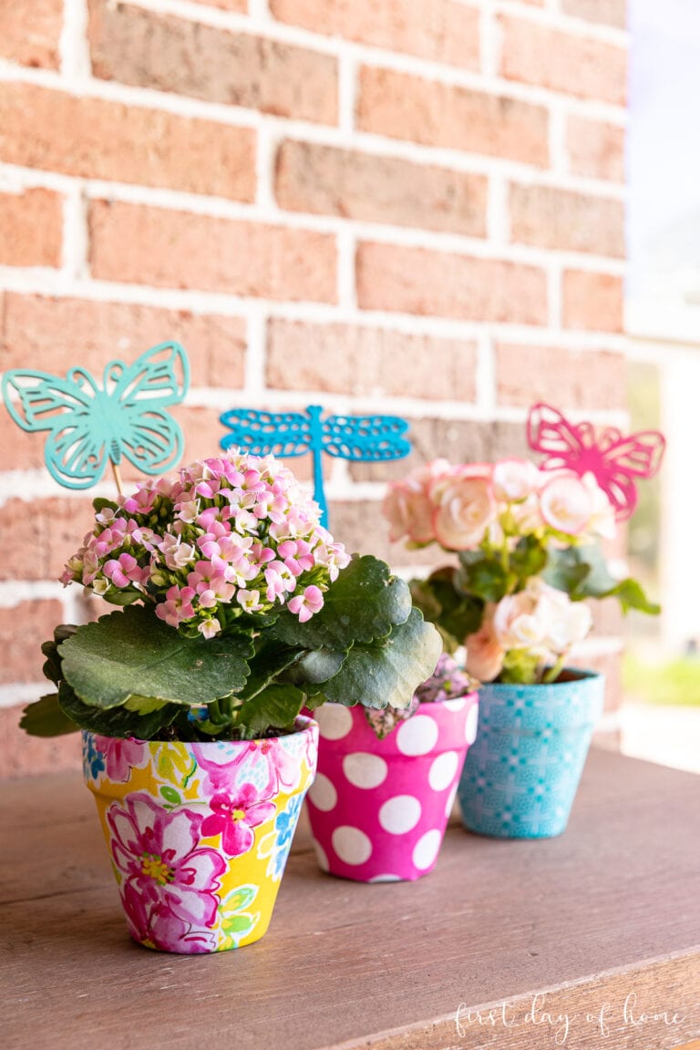 three colorful pots with spring flowers