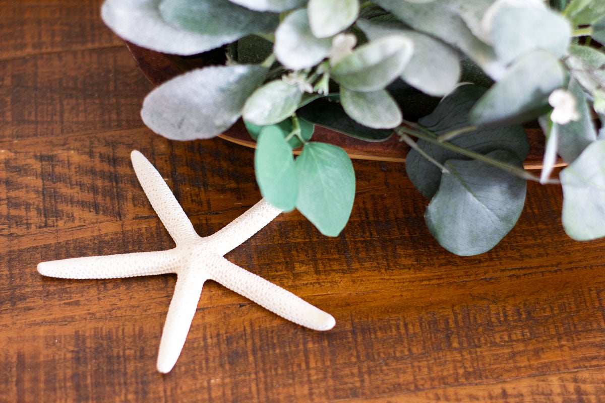 starfish with leaves on a wood surface