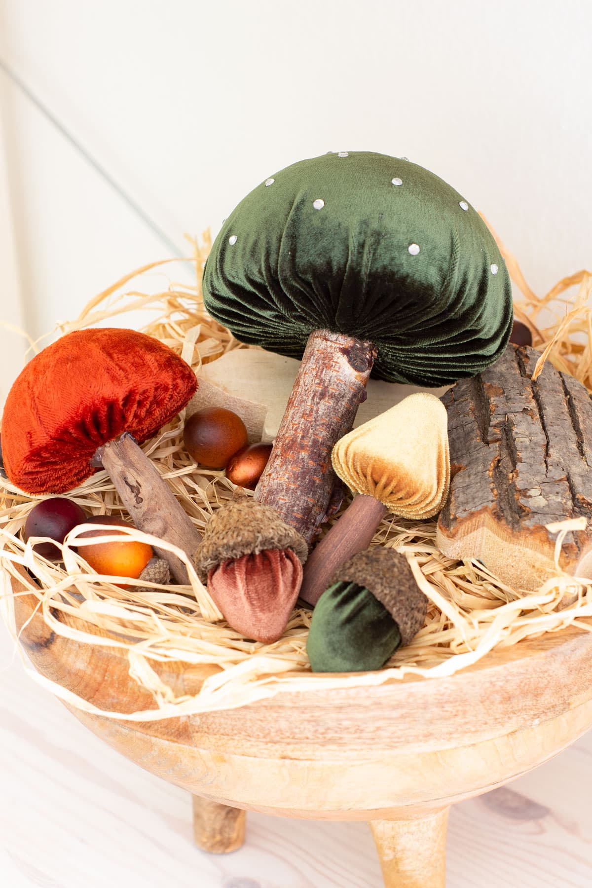 collection of velvet mushrooms and acorns in raffia nest