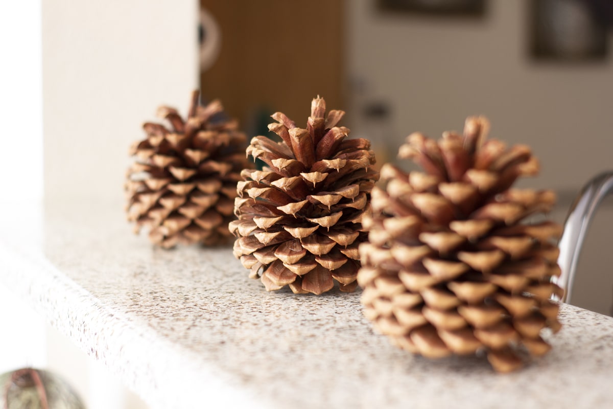 a tiny home christmas tour pinecones on a counter