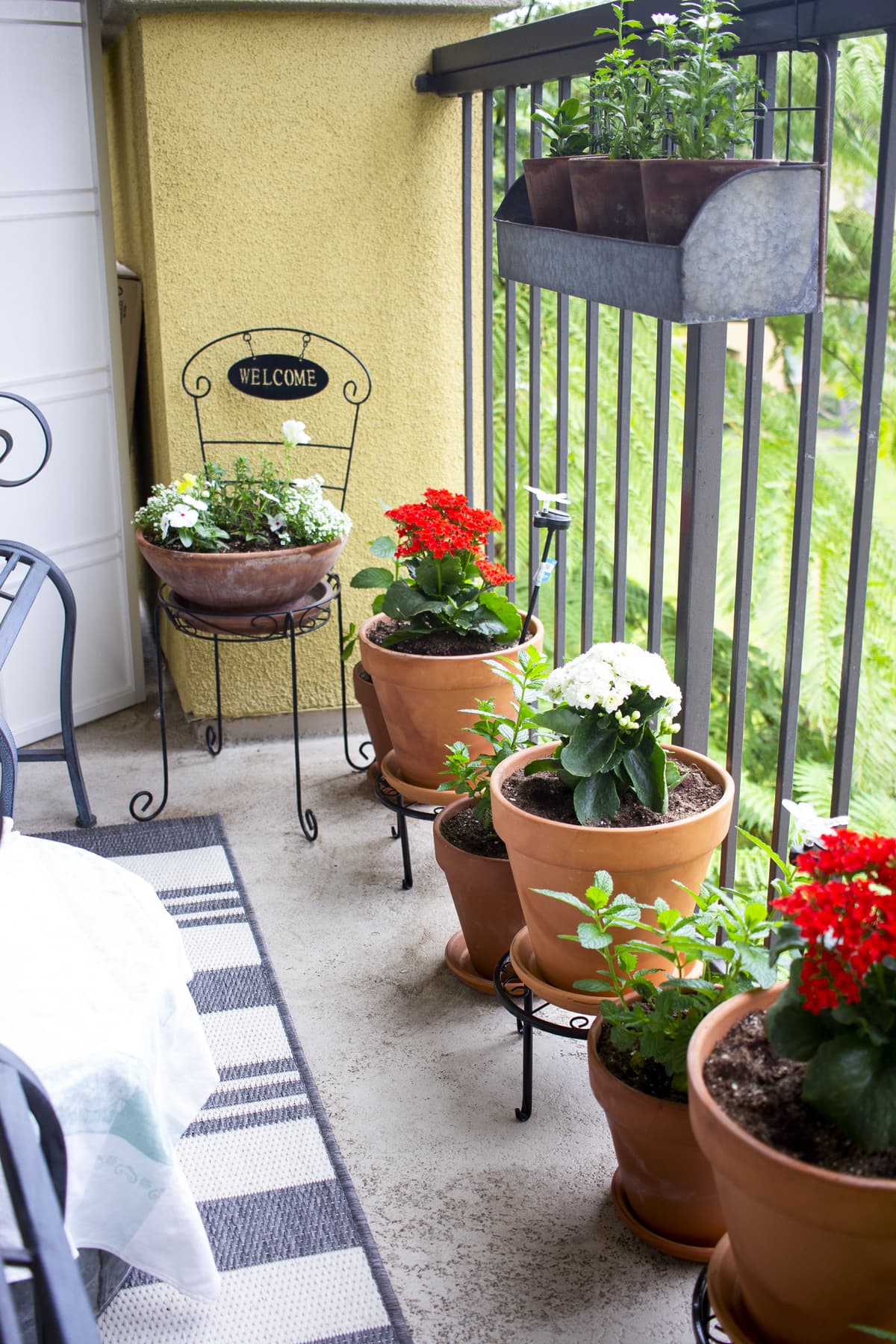 apartment balcony container gardening for summer terra cotta pots with flowers on balcony