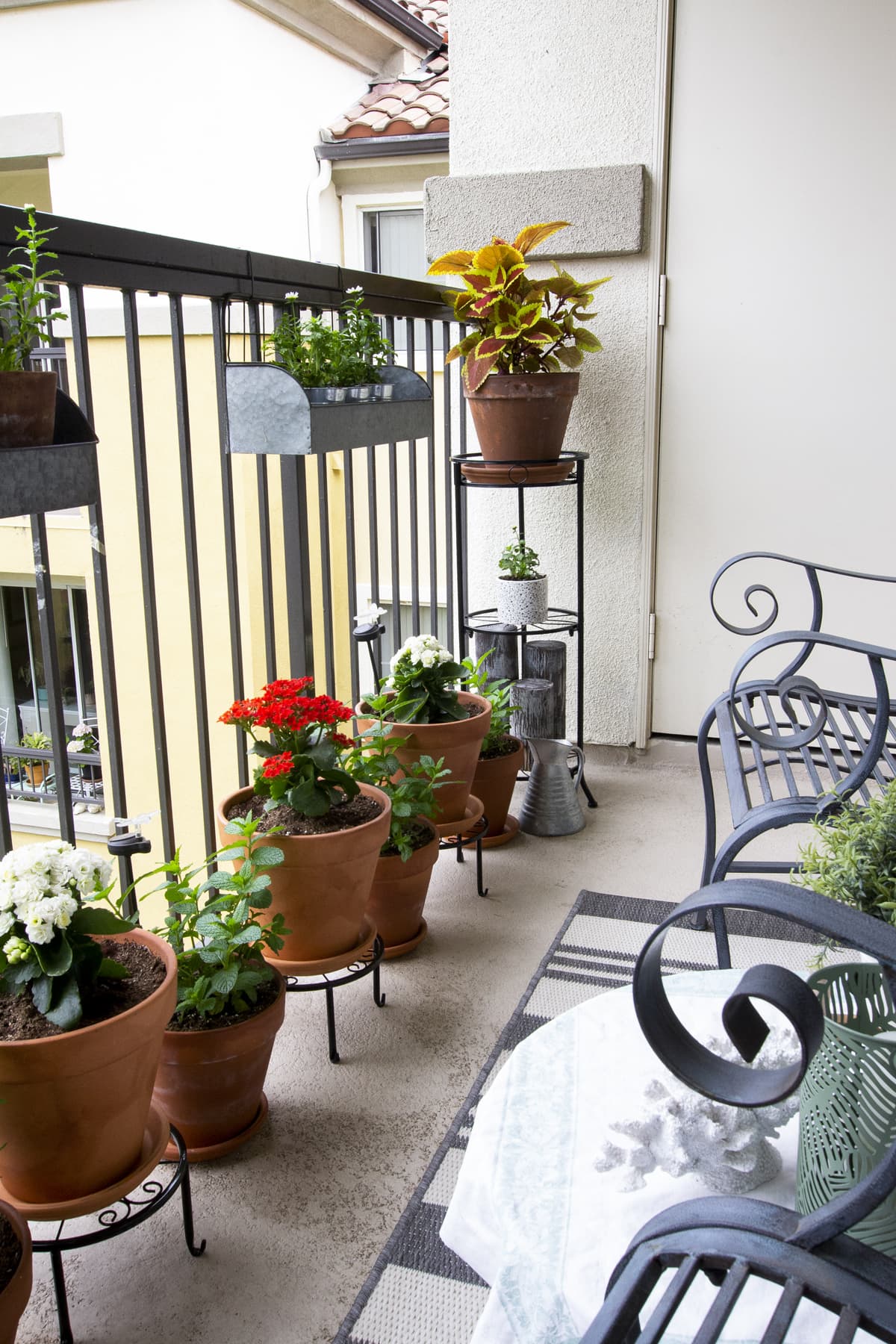 apartment balcony container gardening for summer terra cotta pots with flowers on balcony