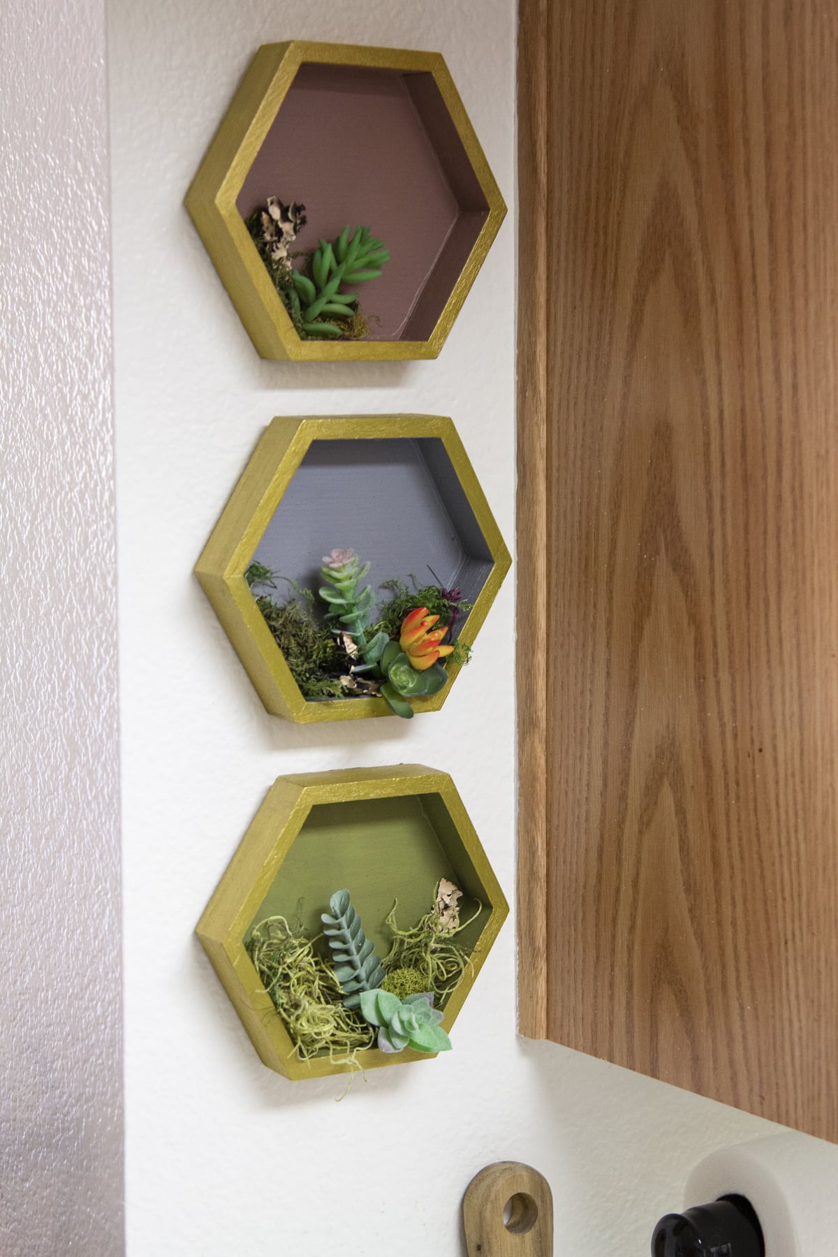 diy painted hexagon shelves with succulents in kitchen with other decor