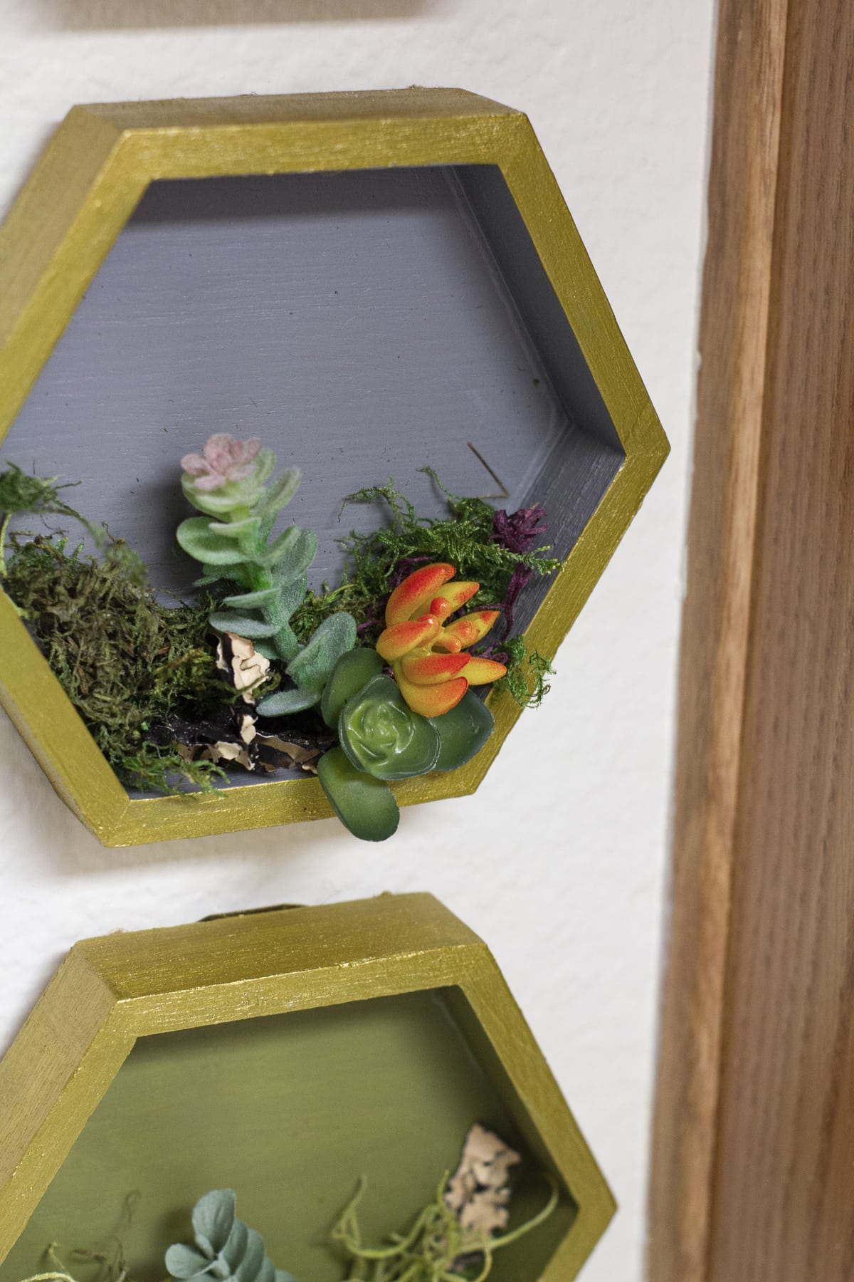 diy painted hexagon shelves with succulents in gray and gold