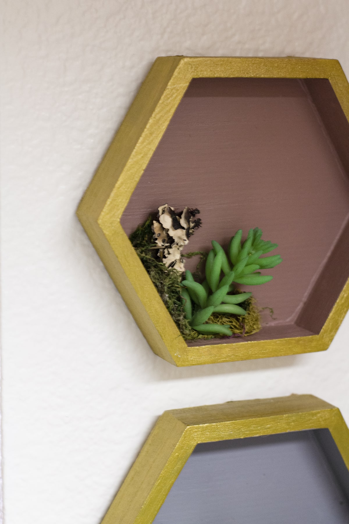diy painted hexagon shelves with succulents 