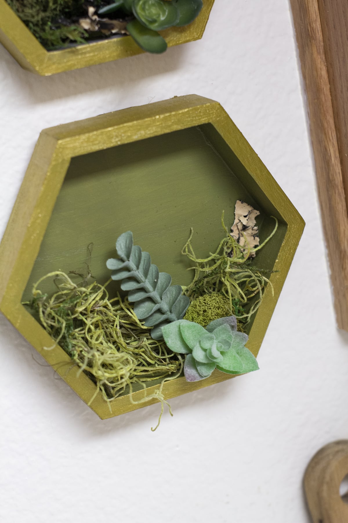 diy painted hexagon shelves with succulents