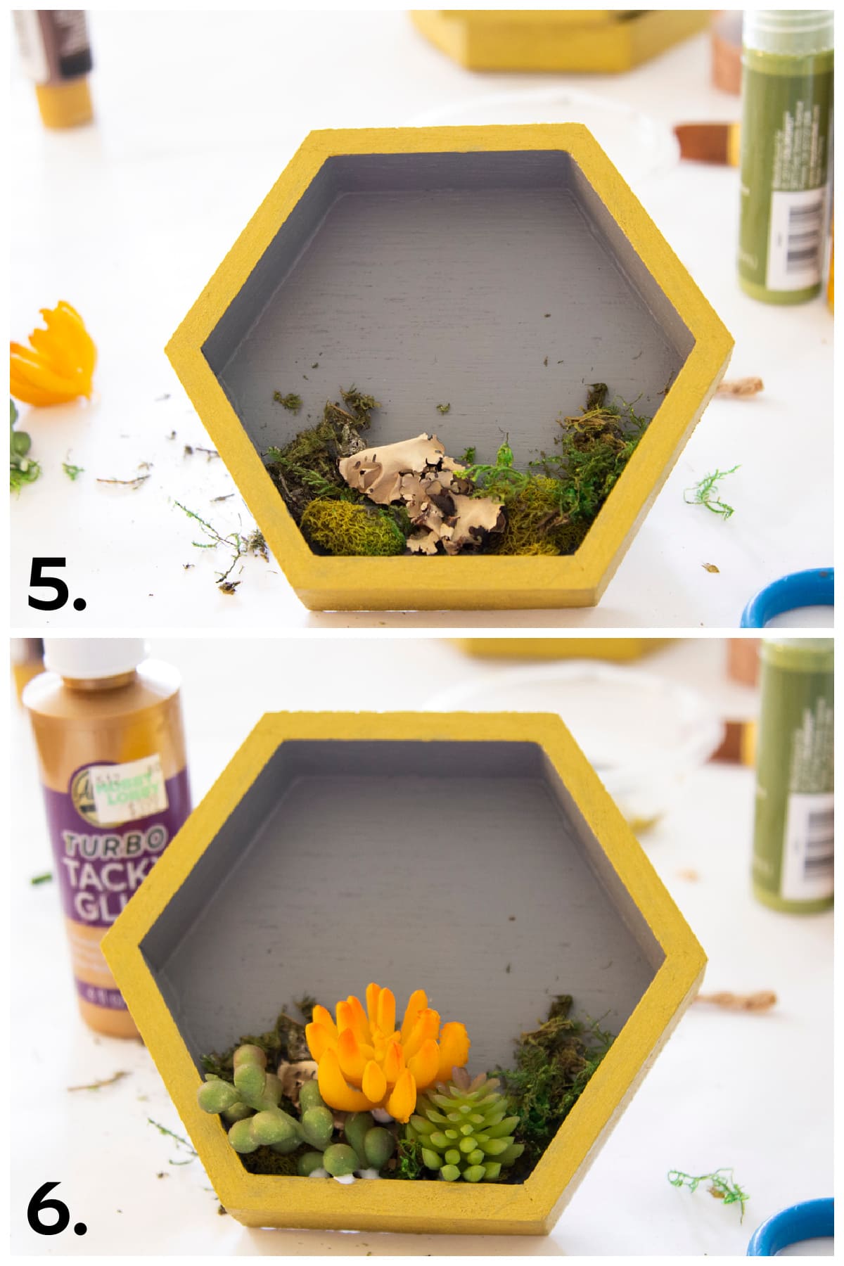diy painted hexagon shelves with succulents instructional photos