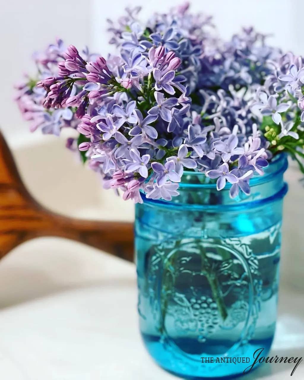 lilacs in teal mason jar on table