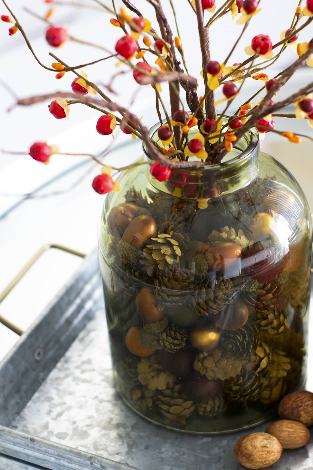 green jar vase with pine cones and acorns inside and arranged with bittersweet berry sprigs