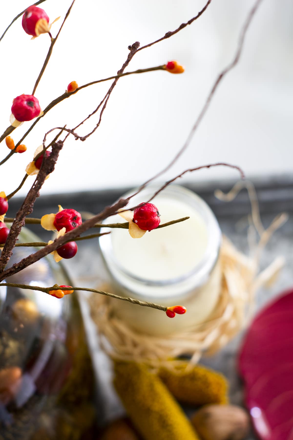 early fall vignette for a small coffee table closeup of berry sprig