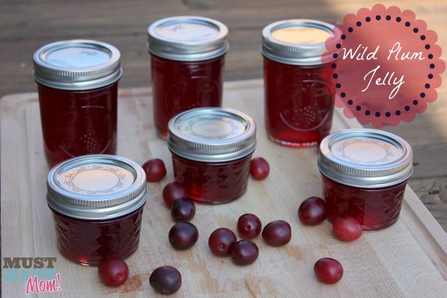 jars of plum jam and plums scattered on wood surface