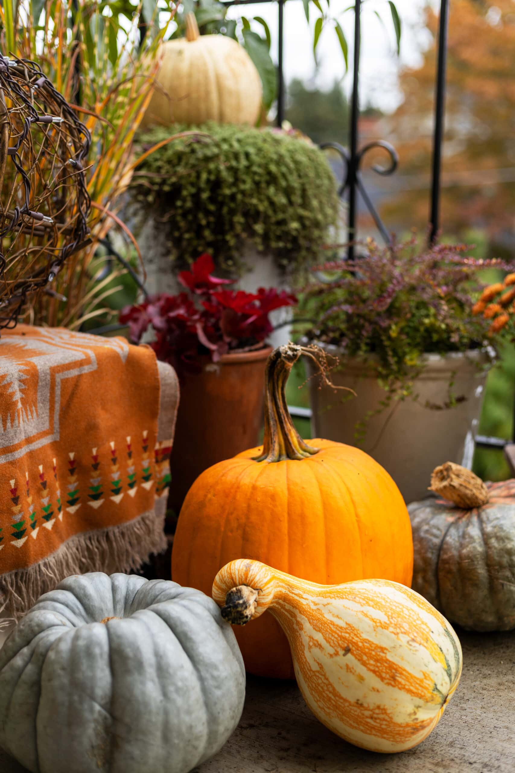 tuesday turn about 217 pumpkin palooza on porch with fall decor items