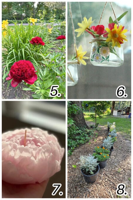 collage of summer florals in different varieties of projects