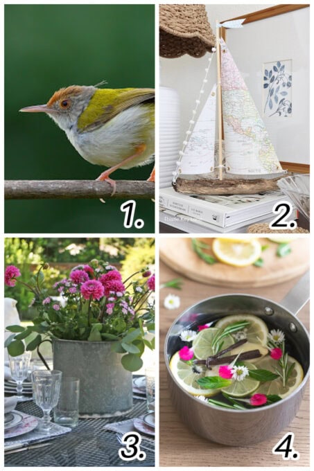 tuesday turn about 312 summer home inspiration collage of home ideas and projects