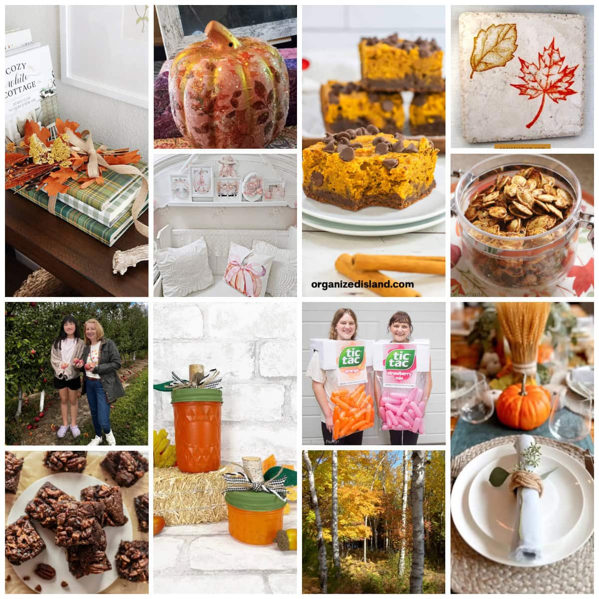 fall project collage