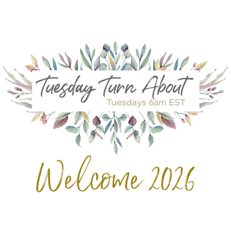 tuesday turn about 335 cover photo