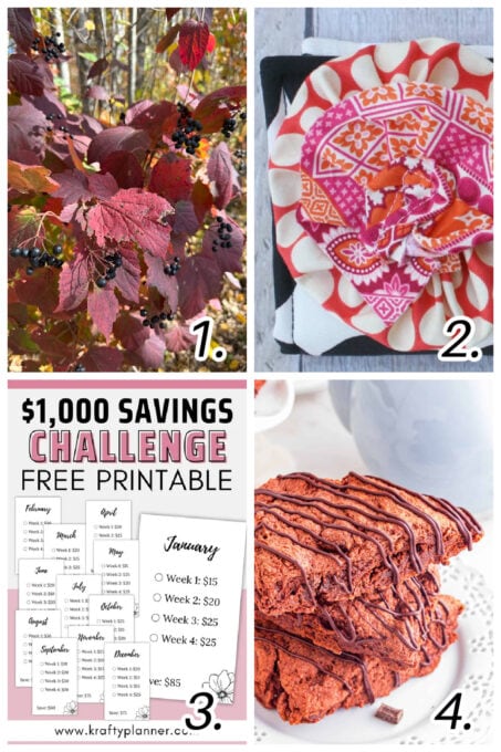 tuesday turn about 339 winter fun collage of winter projects and DIYs