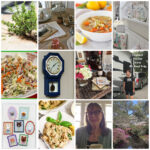 collage of spring projects and diys