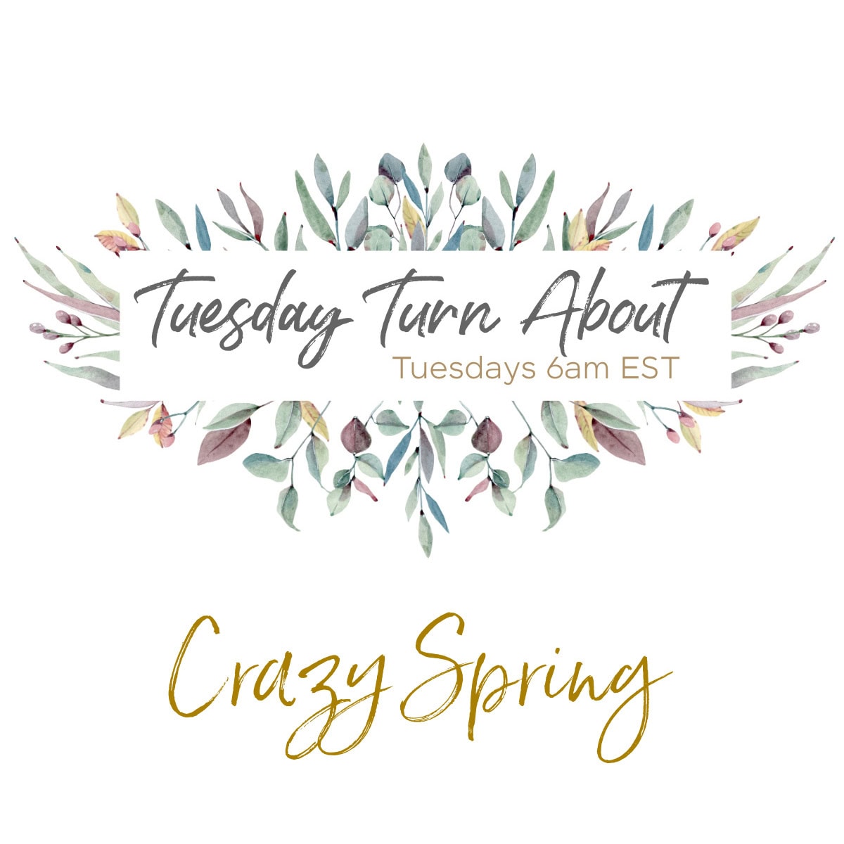 tuesday turn about 350 crazy spring banner image